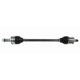 Purchase Top-Quality GSP NORTH AMERICA - NCV36176 - CV Axle Assembly - Rear Right pa8