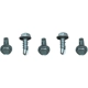 Purchase Top-Quality Screw by AP PRODUCTS - 012DP508X1 pa3