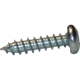 Purchase Top-Quality Screw by CROWN AUTOMOTIVE JEEP REPLACEMENT - 6034204 pa1