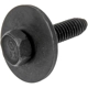 Purchase Top-Quality Seat Belt Retainer by DORMAN - 700-251 pa1