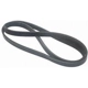 Purchase Top-Quality Serpentine Belt by AUTO 7 - 300-0016 pa1