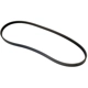 Purchase Top-Quality AUTO 7 - 301-1157 - Serpentine Belt pa1