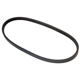 Purchase Top-Quality AUTO 7 - 301-1161 - Serpentine Belt pa1