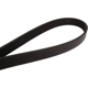 Purchase Top-Quality Serpentine Belt by CONTINENTAL - 1058K6MK pa2