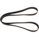 Purchase Top-Quality Serpentine Belt by CONTINENTAL - 1102K8MK pa2