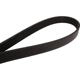 Purchase Top-Quality Serpentine Belt by CONTINENTAL - 1195K6MK pa1