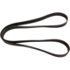 Purchase Top-Quality Serpentine Belt by CONTINENTAL - 1258K8MK pa2