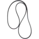 Purchase Top-Quality CONTINENTAL - 250K3MK - Mileage Maker Serpentine Belt pa1