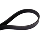 Purchase Top-Quality Serpentine Belt by CONTINENTAL - 350K5MK pa4