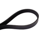Purchase Top-Quality CONTINENTAL - 355K5MK - V-Belt pa2