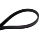 Purchase Top-Quality CONTINENTAL - 360K4MK - Conti-V Multirib Mileage Maker Multi V-Belt pa4