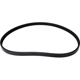 Purchase Top-Quality CONTINENTAL - 372K4MK - Mileage Maker Multi-V Belt pa2