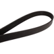 Purchase Top-Quality CONTINENTAL - 374K6MK - Mileage Maker Multi V-Belt pa1
