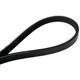 Purchase Top-Quality CONTINENTAL - 3PK675 - Serpentine Belt - Automotive V-Belt pa2