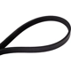 Purchase Top-Quality Serpentine Belt by CONTINENTAL - 400K4MK pa2