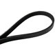 Purchase Top-Quality CONTINENTAL - 4030250S - Water Pump Serpentine Belt - Automotive V-Belt pa3