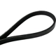 Purchase Top-Quality Serpentine Belt by CONTINENTAL - 4030315S pa3