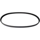 Purchase Top-Quality CONTINENTAL - 4030330S - Multi-V Elastic Belt pa2