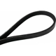 Purchase Top-Quality CONTINENTAL - 4030330S - Multi-V Elastic Belt pa4
