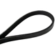 Purchase Top-Quality CONTINENTAL - 4030350 - Courroie serpentine - Automotive V- Belt pa3