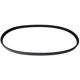 Purchase Top-Quality CONTINENTAL - 4030440 - Serpentine Belt - Automotive V-Belt pa1