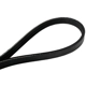 Purchase Top-Quality CONTINENTAL - 4030440 - Serpentine Belt - Automotive V-Belt pa2