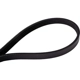 Purchase Top-Quality CONTINENTAL - 4040300 - Serpentine Belt -  Automotive V-Belt pa2