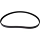 Purchase Top-Quality Serpentine Belt -  Automotive V-Belt By CONTINENTAL - 4040320 pa1