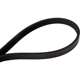 Purchase Top-Quality Serpentine Belt -  Automotive V-Belt By CONTINENTAL - 4040320 pa2