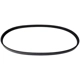 Purchase Top-Quality CONTINENTAL - 4040325 - Serpentine Belt pa1