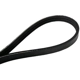 Purchase Top-Quality CONTINENTAL - 4040325 - Serpentine Belt pa2