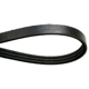 Purchase Top-Quality CONTINENTAL - 4040325 - Serpentine Belt pa5