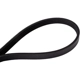 Purchase Top-Quality CONTINENTAL - 4040340S - Serpentine Belt pa2