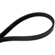 Purchase Top-Quality CONTINENTAL - 4040361S - Serpentine Belt pa2