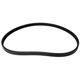 Purchase Top-Quality CONTINENTAL - 4040361S - Serpentine Belt pa3