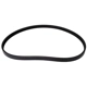 Purchase Top-Quality CONTINENTAL - 4040373S - Courroie serpentine - Automotive V-Belt pa1