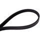 Purchase Top-Quality CONTINENTAL - 4040374 - Serpentine Belt - Automotive V-Belt pa2