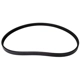 Purchase Top-Quality CONTINENTAL - 4040379S - Serpentine Belt - Automotive V-Belt pa2