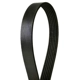 Purchase Top-Quality CONTINENTAL - 4040390 - Courroie serpentine - Automotive V-Belt pa3