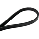 Purchase Top-Quality CONTINENTAL - 4040395 - Serpentine Belt pa2