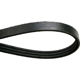 Purchase Top-Quality CONTINENTAL - 4040435 - Serpentine Belt - Automotive V-Belt pa2