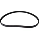 Purchase Top-Quality CONTINENTAL - 4040490 - Serpentine Belt - Automotive V- Belt pa2