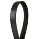 Purchase Top-Quality CONTINENTAL - 4040520 - Serpentine Belt - Automotive V-Belt pa2