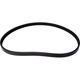 Purchase Top-Quality CONTINENTAL - 4040745 - Poly-V/Serpentine Belt pa2