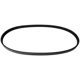 Purchase Top-Quality CONTINENTAL - 4050400 - Serpentine Belt pa1