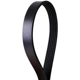 Purchase Top-Quality CONTINENTAL - 4050635 - Serpentine Belt - Automotive V-Belt pa2