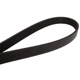 Purchase Top-Quality CONTINENTAL - 4060345 - Serpentine Belt - Automotive V-Belt pa1