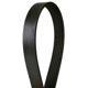 Purchase Top-Quality CONTINENTAL - 4060345 - Serpentine Belt - Automotive V-Belt pa2