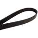 Purchase Top-Quality CONTINENTAL - 4060348S - Serpentine Belt - Automotive V-Belt pa2