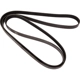 Purchase Top-Quality CONTINENTAL - 4060402S - Serpentine Belt - Automotive V-Belt pa2
